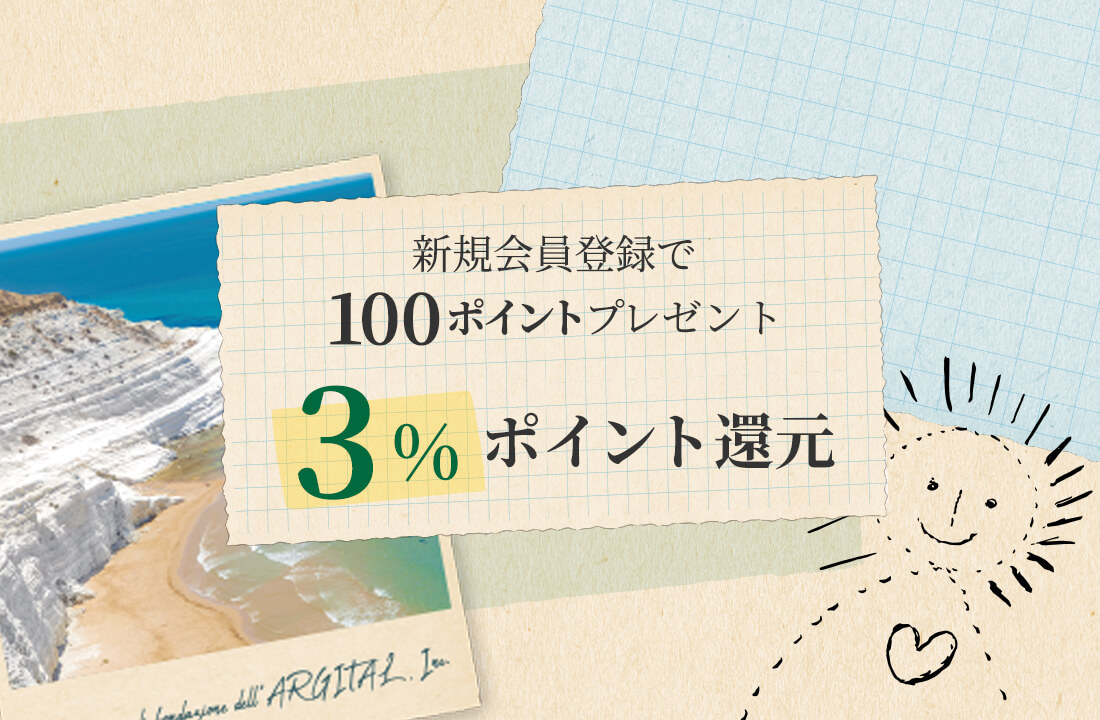 新規会員登録で100ポイントプレゼント 3%ポイント還元