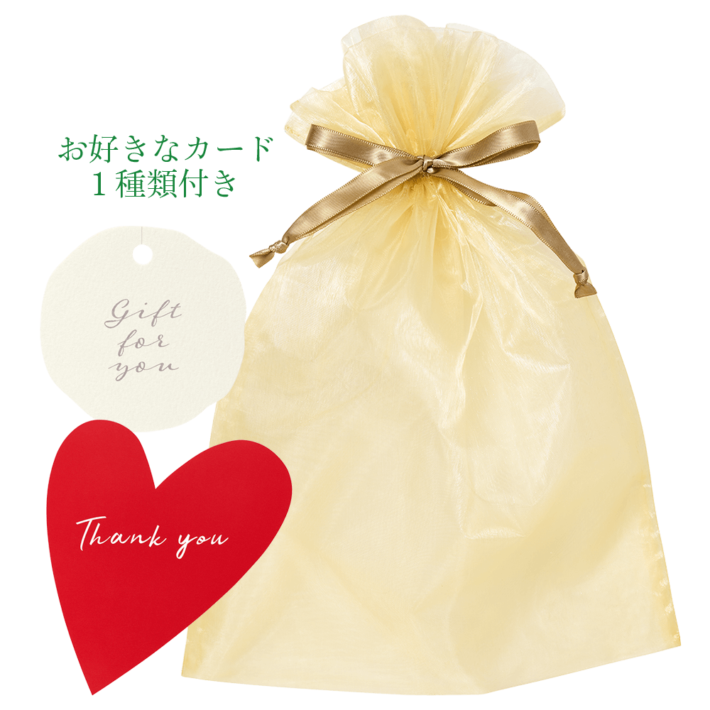 アルジタル セルフラッピングセット