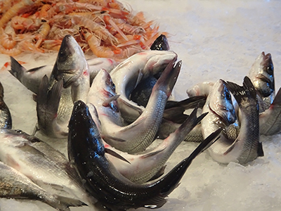 アルジタル　シチリアレポート　Pescheria　魚市場