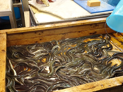 アルジタル　シチリアレポート　Pescheria　魚市場
