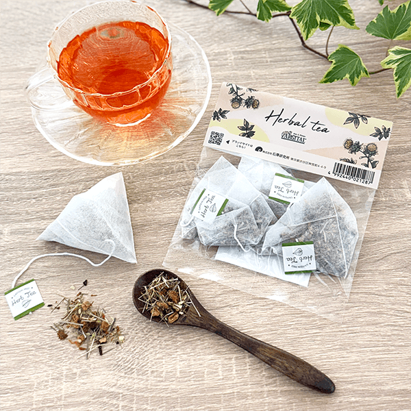 アルジタル 表参道　7周年